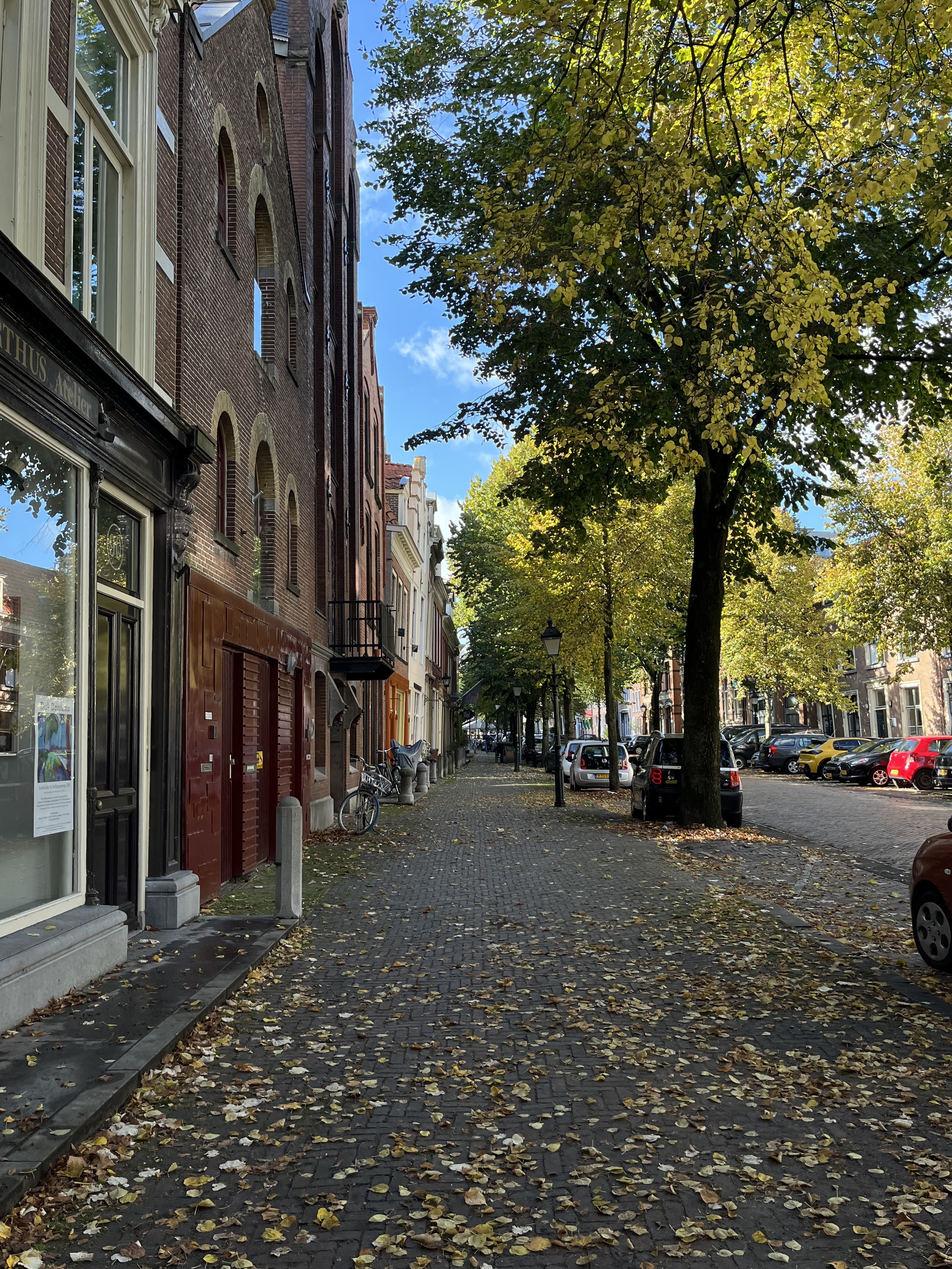 Falling leaves on the dutch street