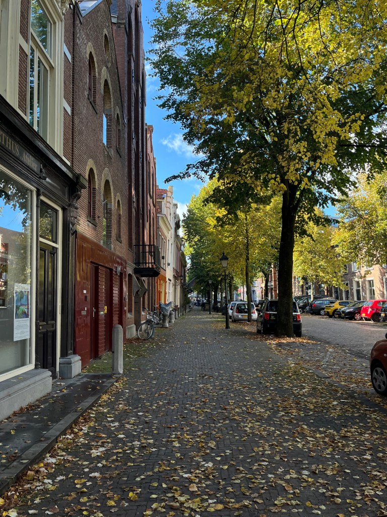 Falling leaves on the dutch street