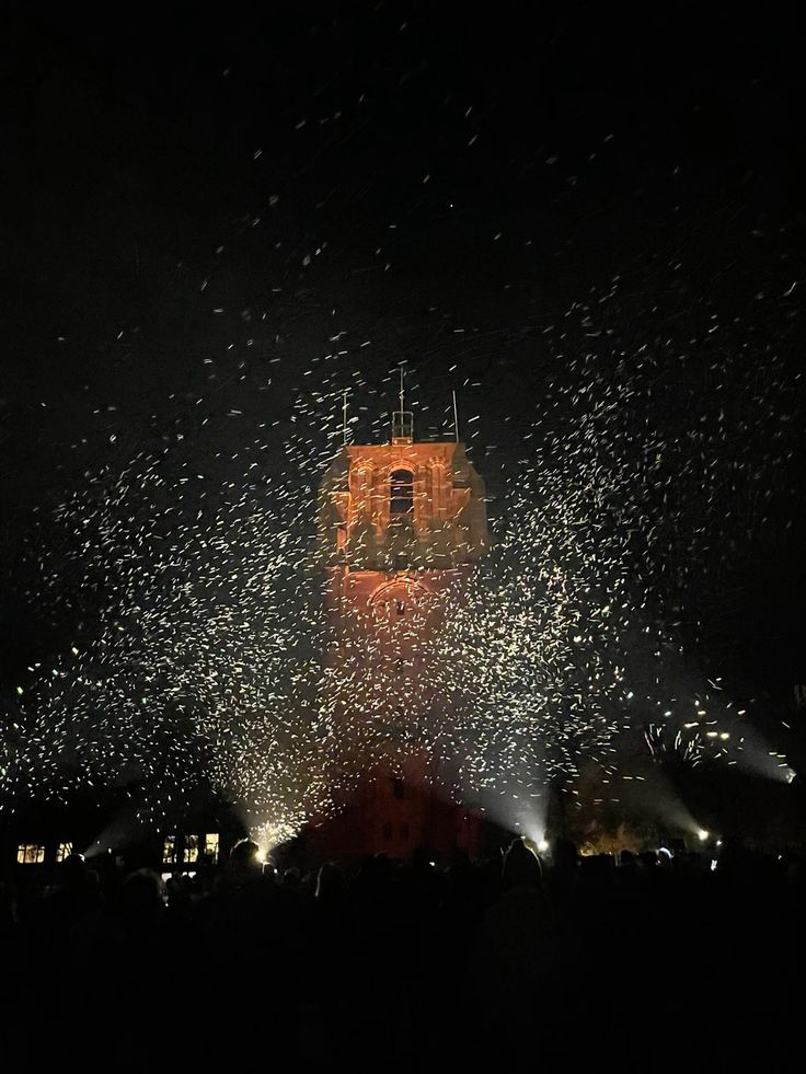 A big buidling covered in fairy lights